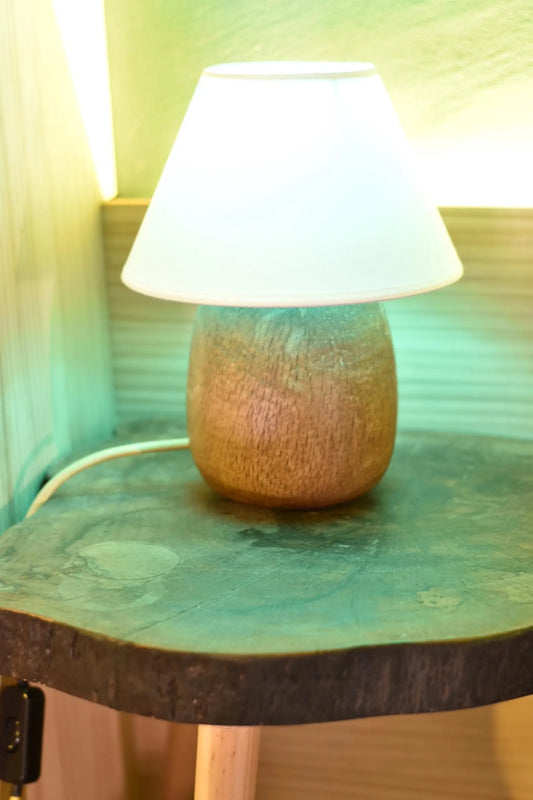 Boletus